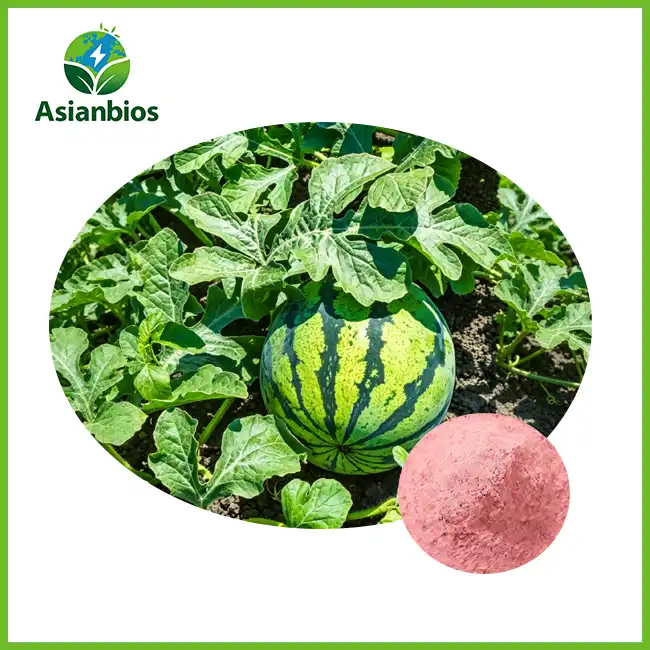 Organic Watermelon Powder
